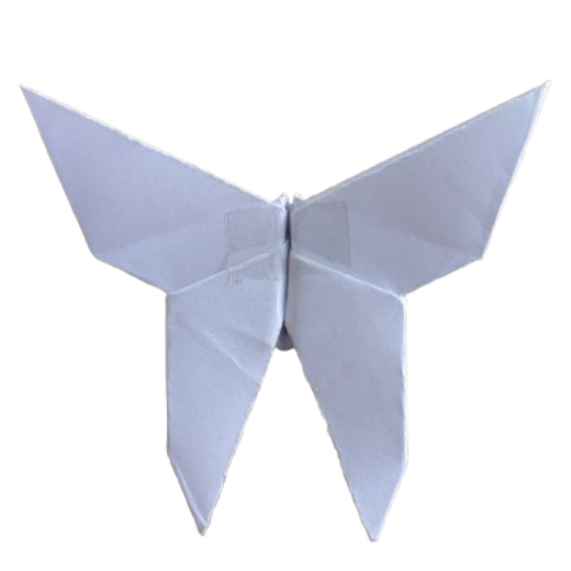 FLY
